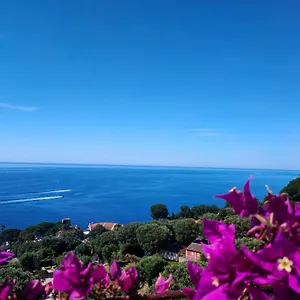https://villa-azur-cap-dail.fr-provencehotel.com